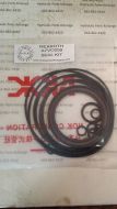 REXROTH REPLACEMENT A7VO250 SEAL KIT 